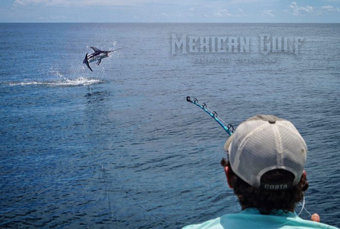 swordfish jumping. 170 lbs. MGFC photo - Jordan Ellis