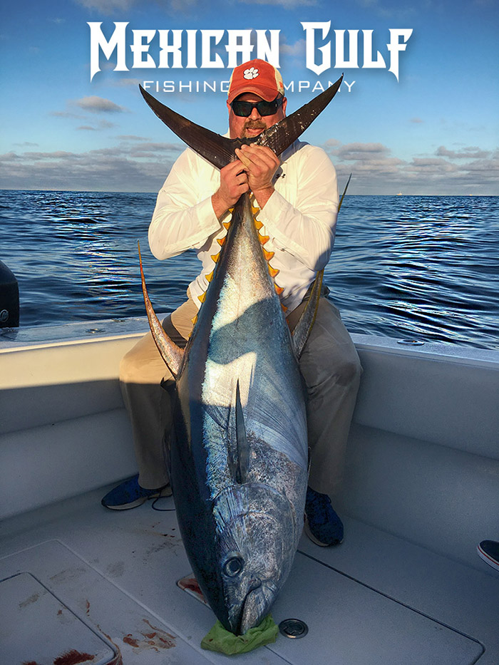 offshore venice - tuna fishing at it's best. February 2017. MGFishing.com