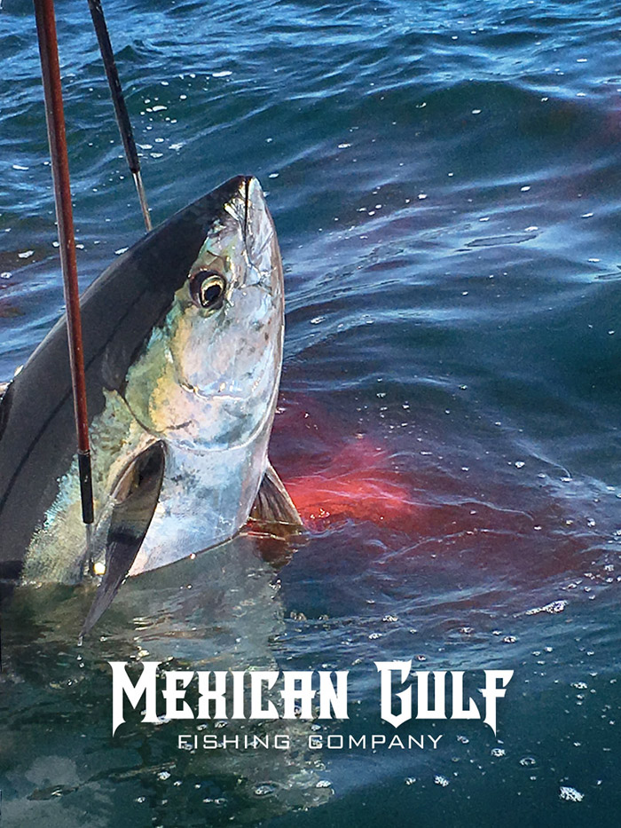 Offshore Venice - Yellowfin tuna - 192 lbs. MGFishing.com