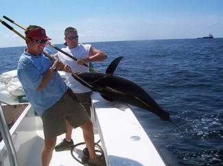 captain billy wells catches yellowfin tuna in the gulf of mexico. Venice, LA. USA, MGFC photo