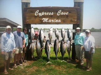 tuna cypress cove marina, venice, la