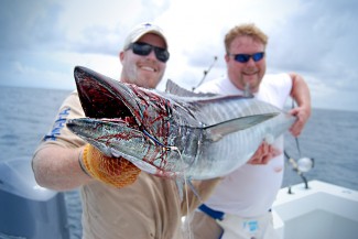 photo - mgfc wahoo fishing - gulf of mexico, venice, la