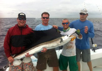 sailfish photo mgfc, venice, la