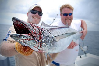 wahoo photo mexican gulf fishing company. venice, la