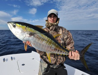 photo of yellowfin tuna caught in winter, venice, la