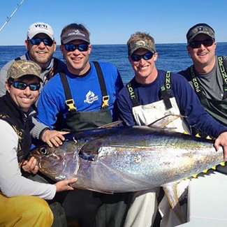 yellowfin tuna photo fishing with mexican gulf from venice, la.