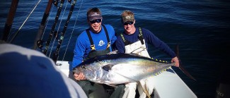 yellowfin tuna photo winter fishing mexican gulf fishing co.