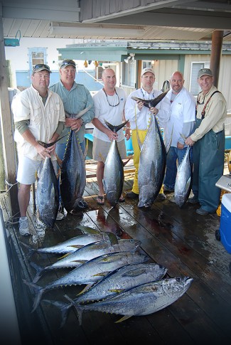 photo - mgfc - large group of yellowfin tuna caught with captain kevin beach