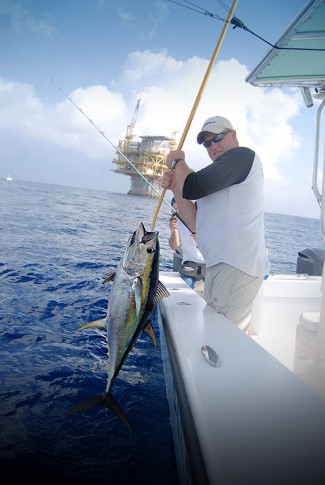 yellowfin tuna gaff photo