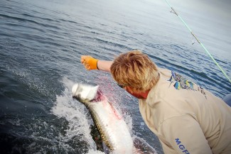 tarpon fishing louisiana photo. Tarpon fishing with Capt. Jordan at MGFC.