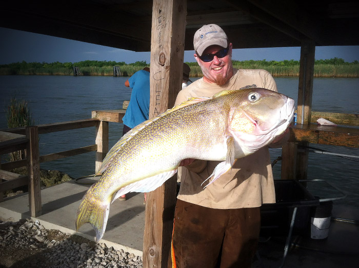 tilefish photo louisiana, mexican gulf fishing company