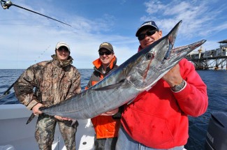 wahoo venice, louisiana photo