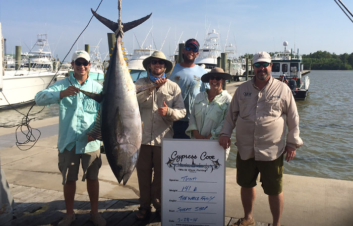 yellowfin tuna photo - mgfc.