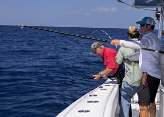 offshore fishing venice. capt billy wells tuna fishing venice, la. photo, mgfc.