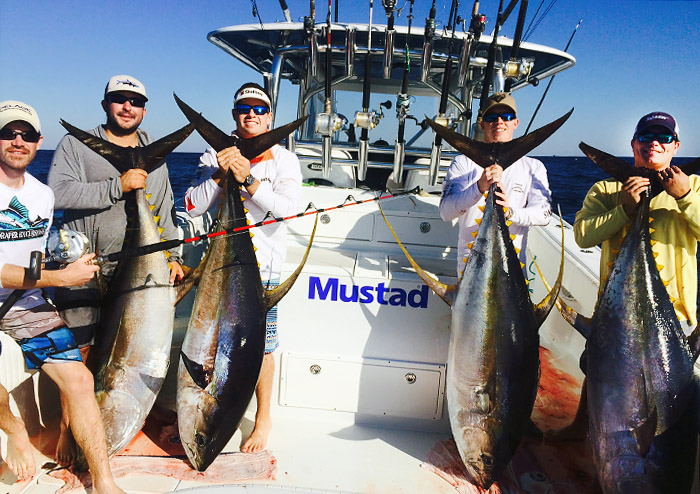 Yellowfin tuna and Pro Gear in Venice, Louisiana