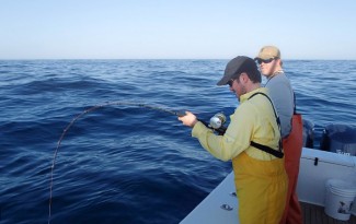 fish offshore blue water venice, la. MGFC. Jordan Ellis