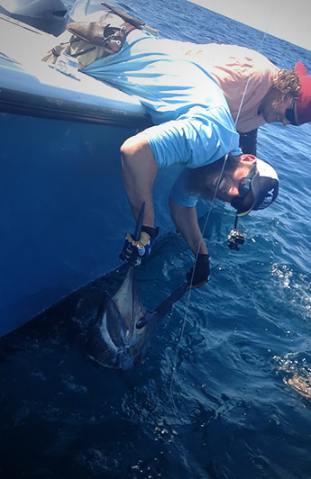 blue marlin venice, louisiana. MGFC fishing for blue marlin. travis Mayeux. April 2015