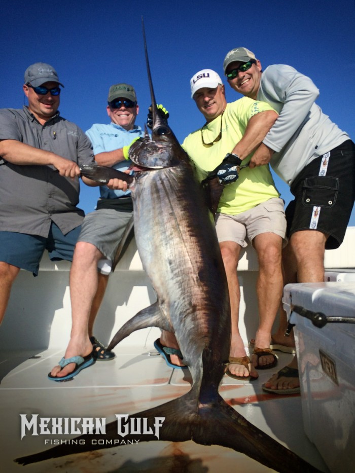 offshore fishing venice. MGFC swordfish, Colin Byrd