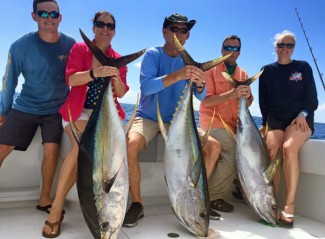 Catching yellowfin tuna with Zach Lewis at MGFC photo