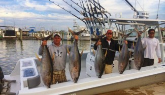 Yellowfin tuna on a 39-foot contender with Zach Lewis, MGFC