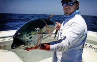 zach lewis offshore charter captain venice, LA. MGFC charter fishing.