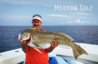 golden tilefish louisiana. MGFC photo of tilefish. Offshore charter fishing louisiana