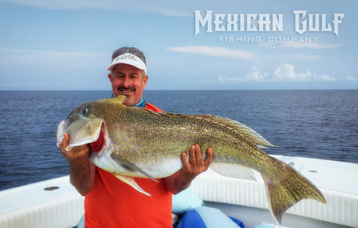 golden tilefish louisiana. MGFC photo of tilefish. Offshore charter fishing louisiana