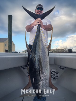 Yellowfin tuna fishing charters – mgfishing.com