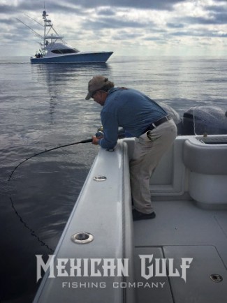Yellowfin tuna fishing charters with Capt. Zach Lewis at The MGFC. Louisiana.