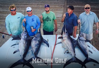 swordfish charters, la. Four swordfish daytime. MGFC photo, Jordan Ellis