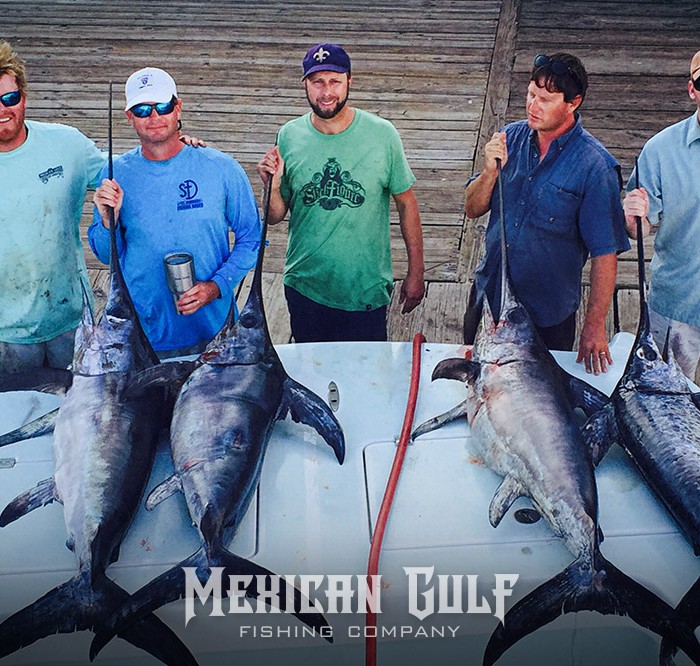 swordfish charters, la. Four swordfish daytime. MGFC photo, Jordan Ellis