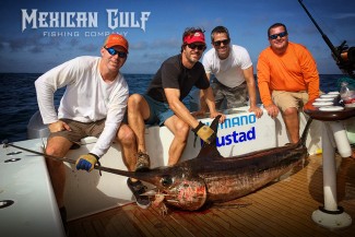 swordfish charters - a photo gallery from mgfc. Venice, LA