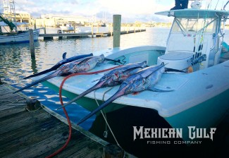 four swordfish caught on a swordfish charter with The MGFC