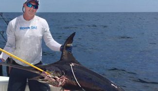 COlinByrd-swordfish-biopage-mgfc-photo