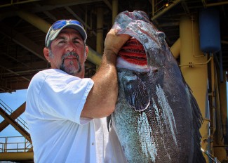 richard draper offshore charter fishing venice, la mgfc bio page photo
