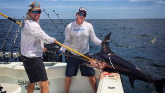 Swordfish action MGfishing.com Billy Wells and Colin Byrd. April, 2016 swordfish gulf of mexico. Venice, LA