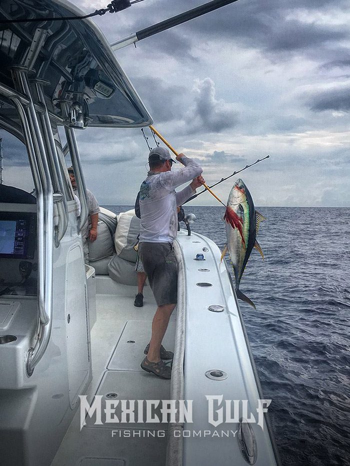 billy wells yellowfin tuna venice, la. MGFC photo. July, 2016