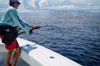 reeling in a swordfish 1200 ft water. MGFC photo. July, 2016