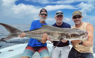 cobia fishing in venice, louisiana - mexican gulf fishing company - the best charter experience