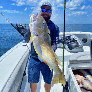 gold tilefish venice, louisiana with the best charter fishing company - Mexican Gulf Fishing Company